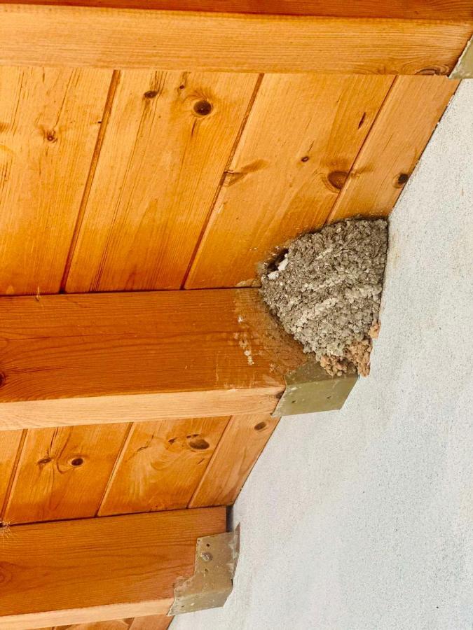 Villa Vista Himare Eksteriør bilde